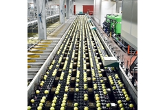 Image Apple packaging automation.